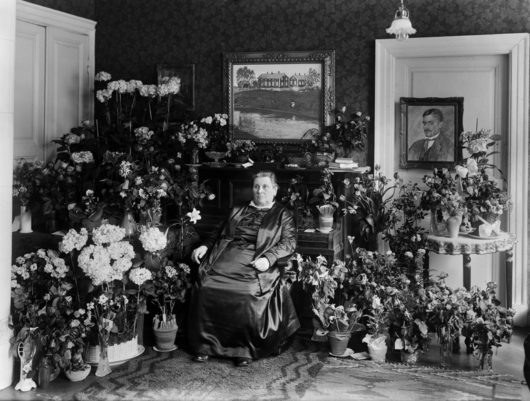 Lucina Hagman istuu tuolissa huoneessa, ympärillä on kukkia.